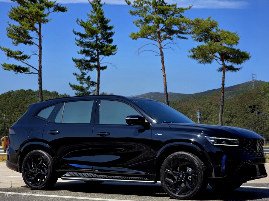 출고 후 한달만에 유리막코팅, 기타 이것저것_33.jpg