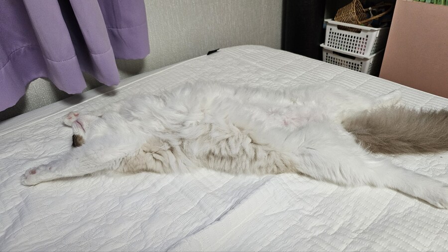 우리집 최상위포식자_1.jpg