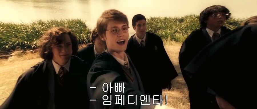 해리포터)해리 포터가 아버지의 학교폭력에 감사해야 할 이유(?)_3.png