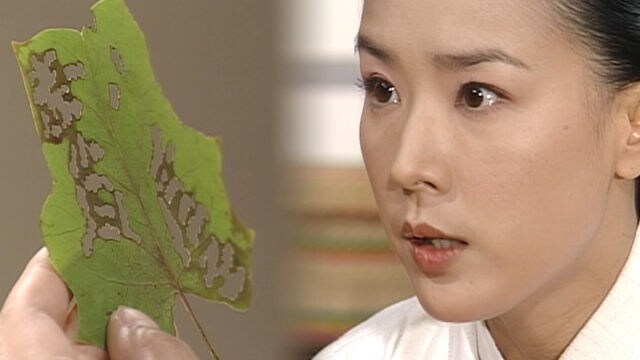 진짜 이파리 충격적이다_1.jpg