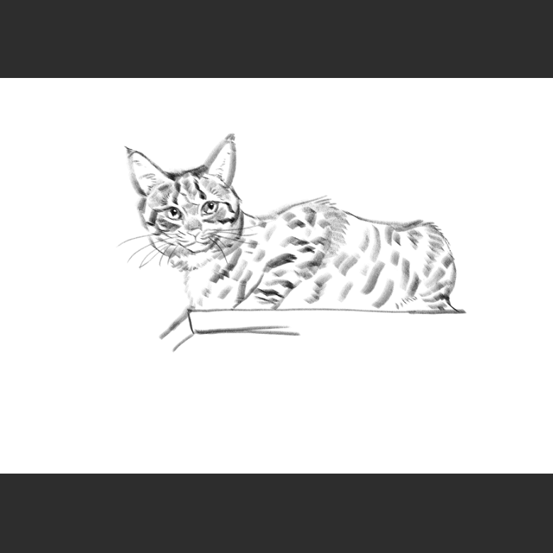 우리집 고양이그림 보고가셈_3.png
