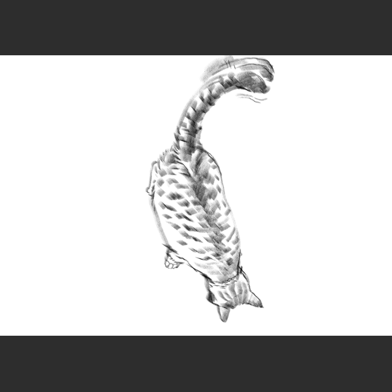 우리집 고양이그림 보고가셈_5.png