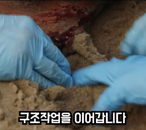 위기탈출 넘버원 뺨치는 미국 레스큐 드라마_23.jpg