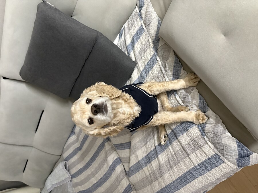 할카스 달림_14.jpg