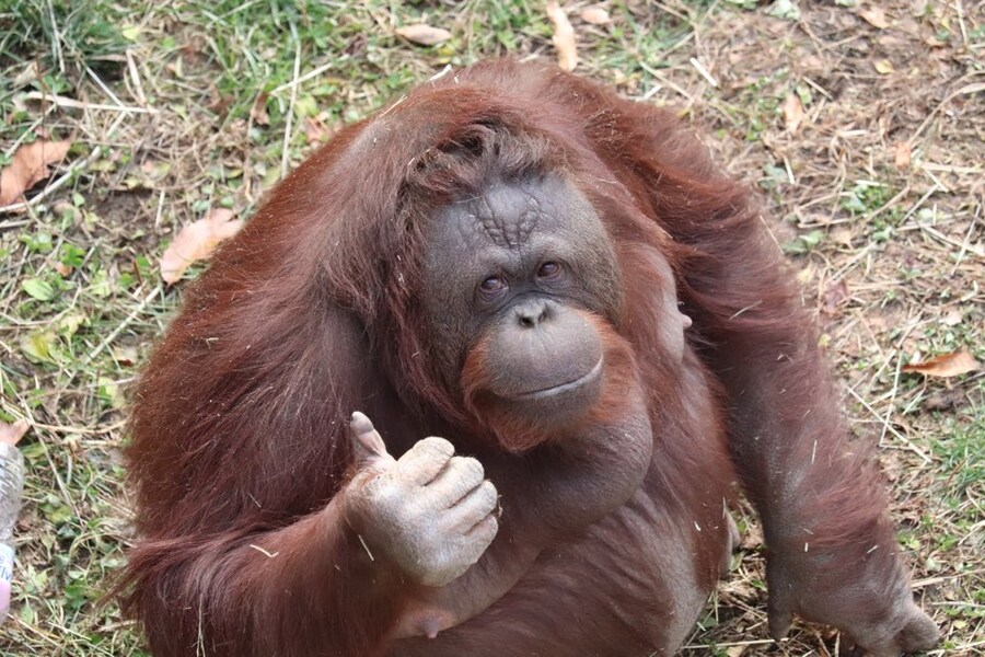 이번 사태에서 내가 할일_1.jpg