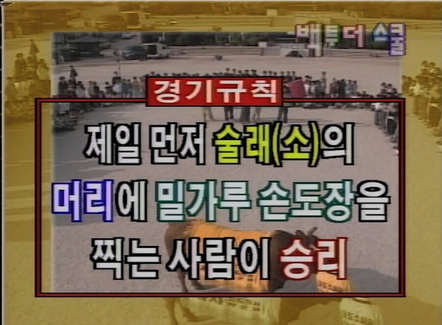 세기말 예능 퀄리티_3.jpg