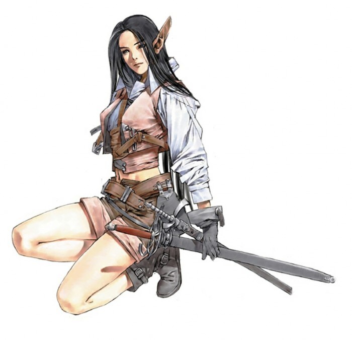 드래곤라자 일러스트 변천사_1.jpg