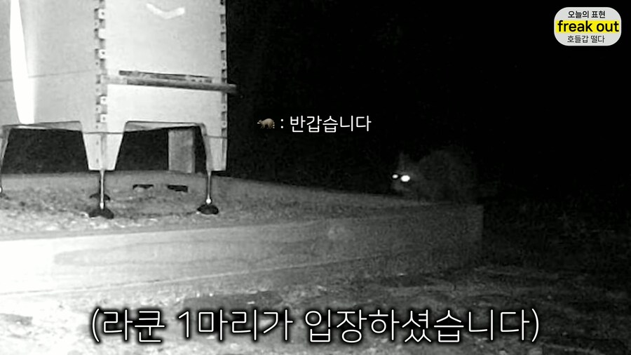 양봉 시작한 올리버쌤... 벌통 놔두고 하루 여행 다녀온 결과_17.jpg