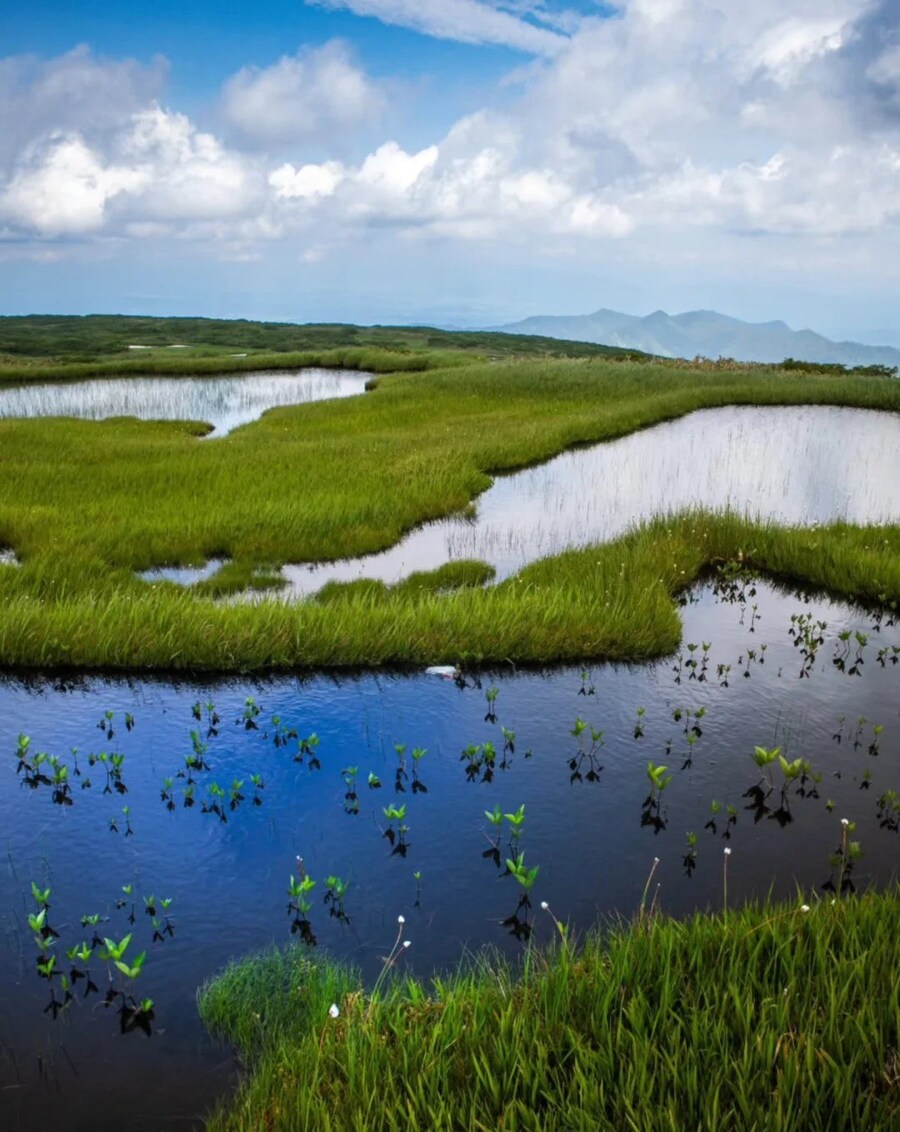 [요모] 나고야 알펜루트 단독투어 4일 133만원 #스이메이칸 #게로온천_4.jpg