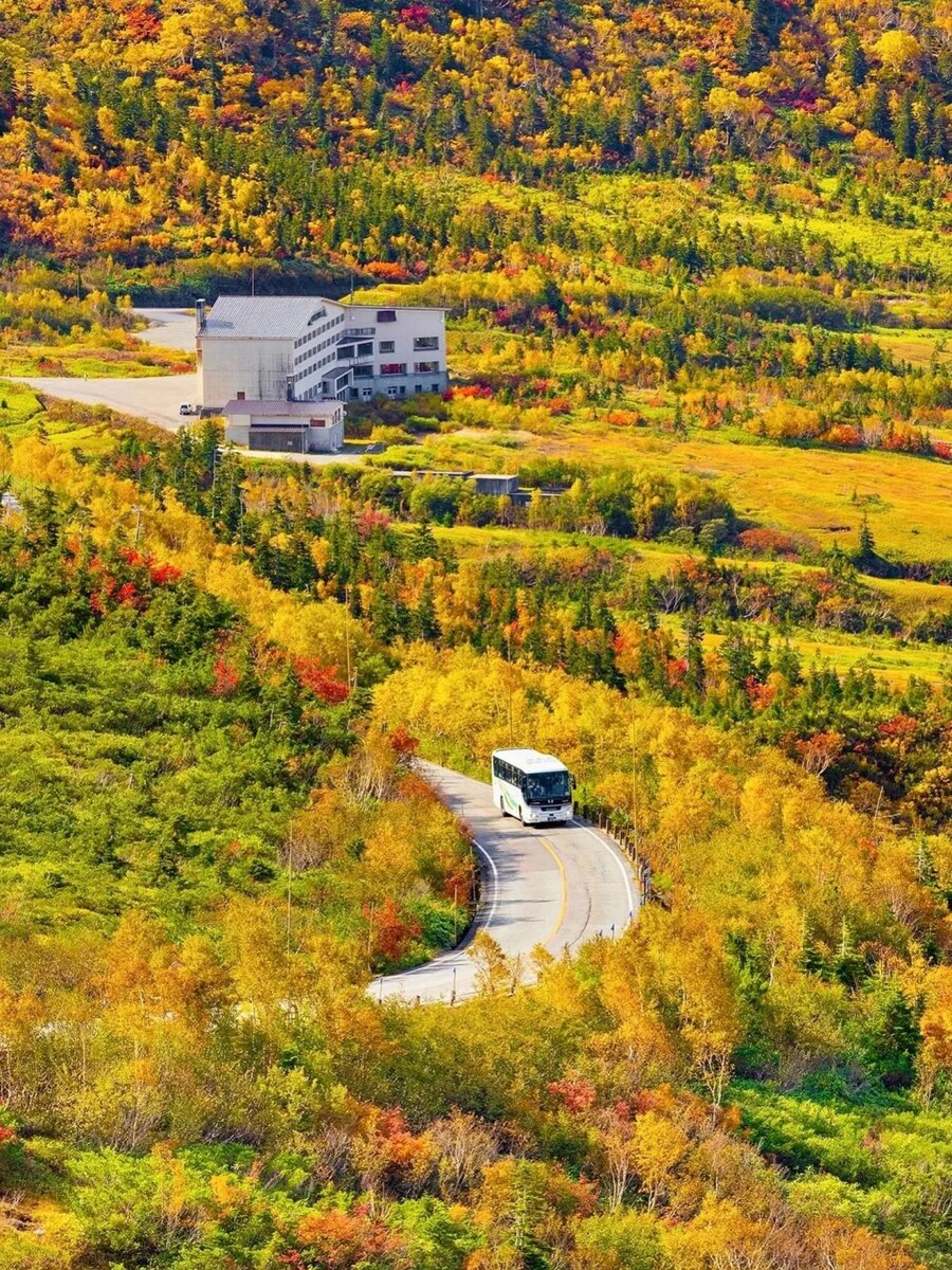 [요모] 나고야 알펜루트 단독투어 4일 133만원 #스이메이칸 #게로온천_5.jpg