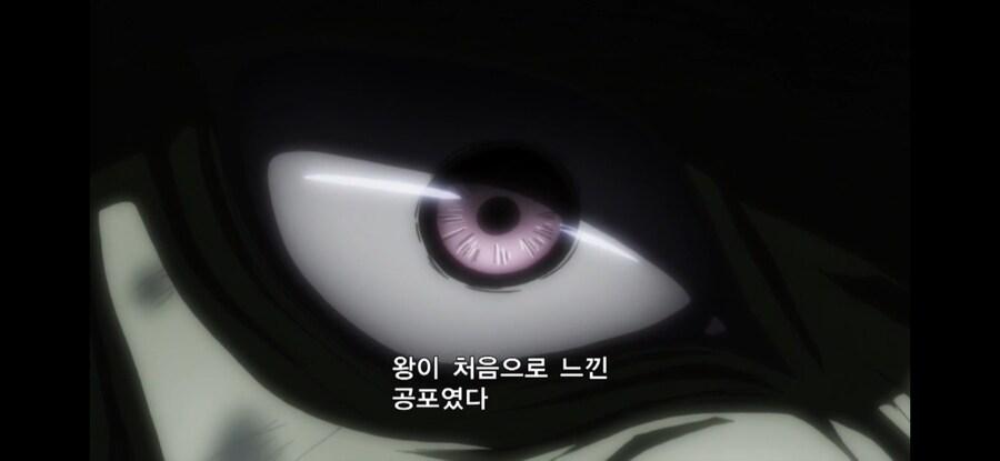 헌터x헌터) 개미편의 하이라이트_15.jpg
