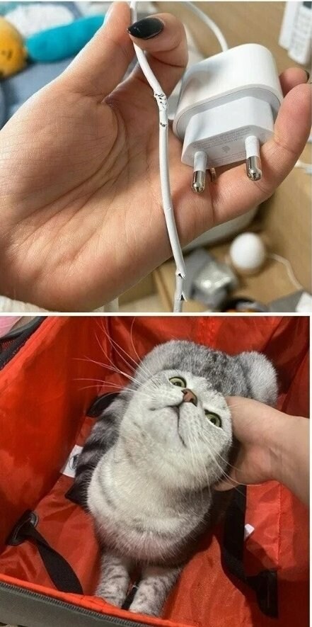 충전기 정품 구별법_1.jpg