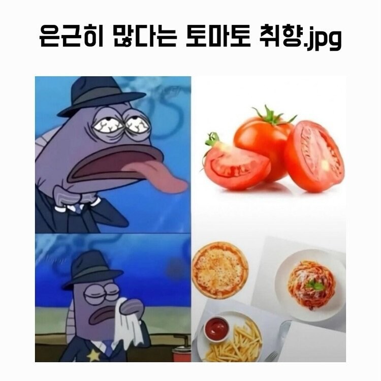 은근히 많다는 토마토 취향.jpg_1.jpg