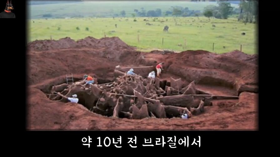 브라질에서 발견된 초대형 개미집_1.jpg