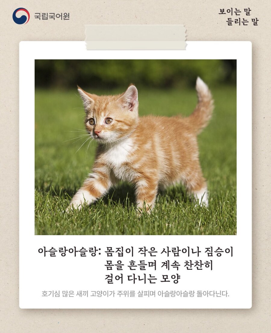 아슬랑아슬랑 다니다_1.png