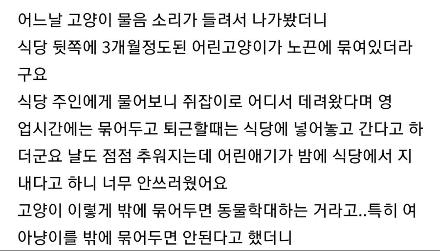 식당에서 키우던 고양이를 데리고 온 그 맘_2.jpg