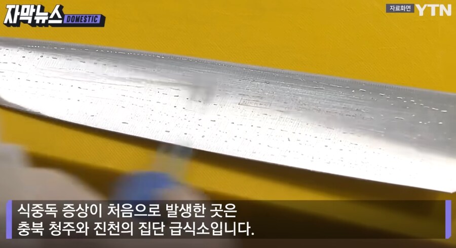 현재 살모넬라균이 검출된 빵들 주의.