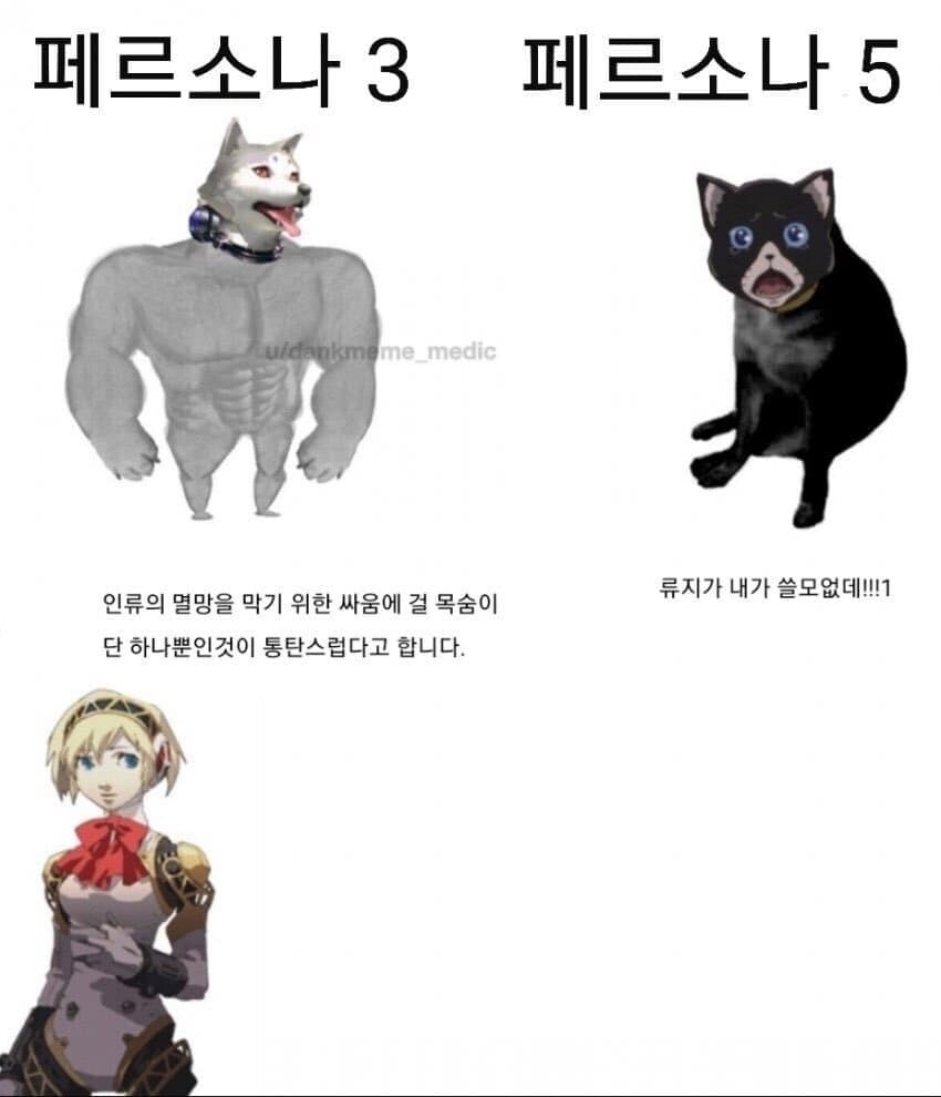 페르소나) 개 > 고양이인 이유_1.jpg