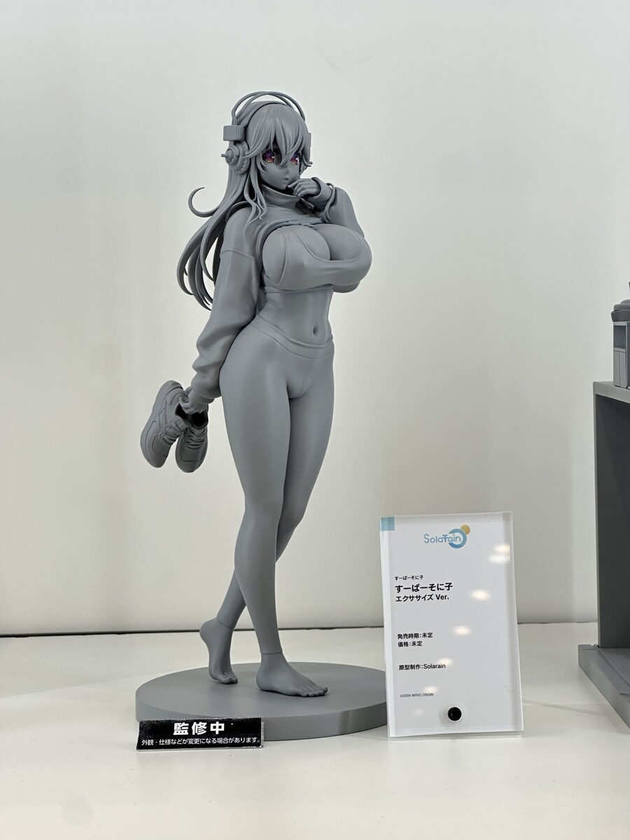 거유의 대명사 소니코_2.jpg