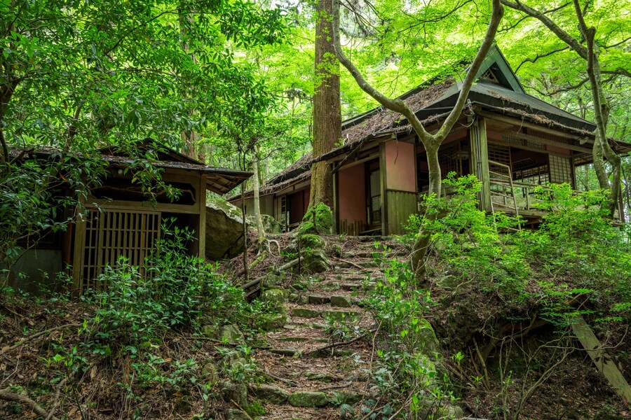 일본, 어떤 계곡에 있는 폐건물🏚️_4.jpg