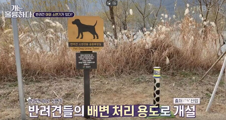 개는 대변보다 소변이 문제가 더 큼._1.png