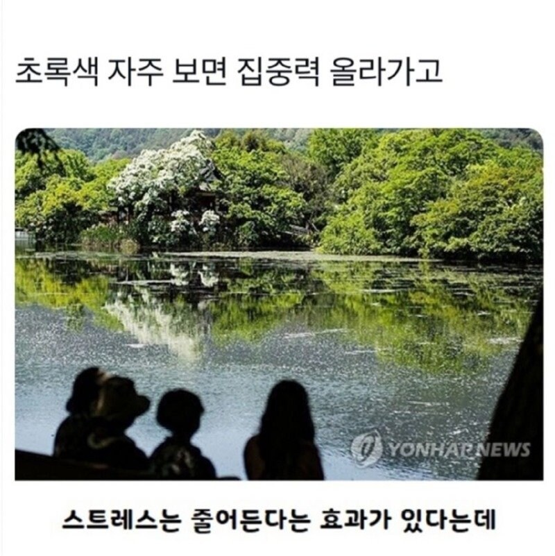 초록색을 자주보면 집중력이 올라가고 스트레스가 줄어듭니다_1.jpg
