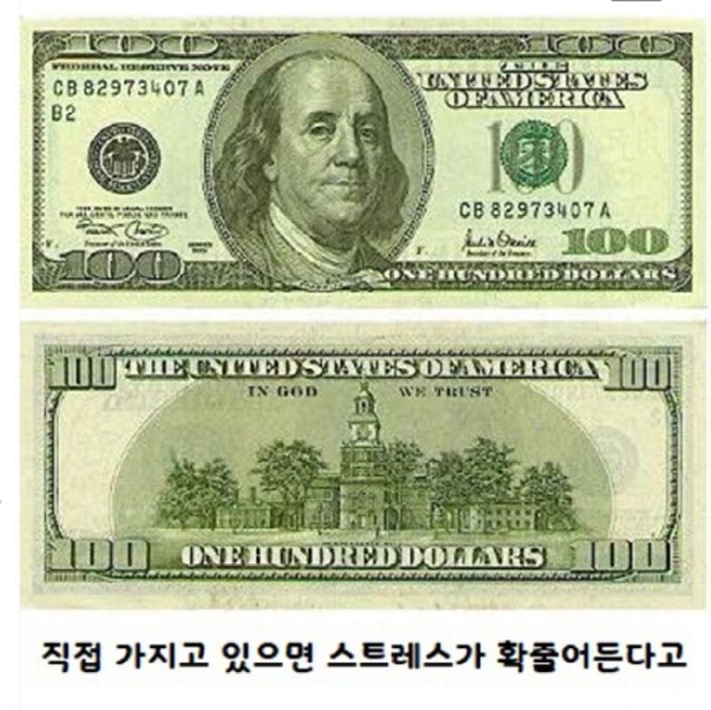 초록색을 자주보면 집중력이 올라가고 스트레스가 줄어듭니다_3.jpg