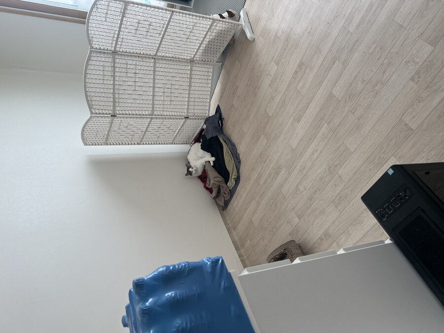 안입는 옷 버릴려고 꺼내놨는데 못버리겠다_1.jpg