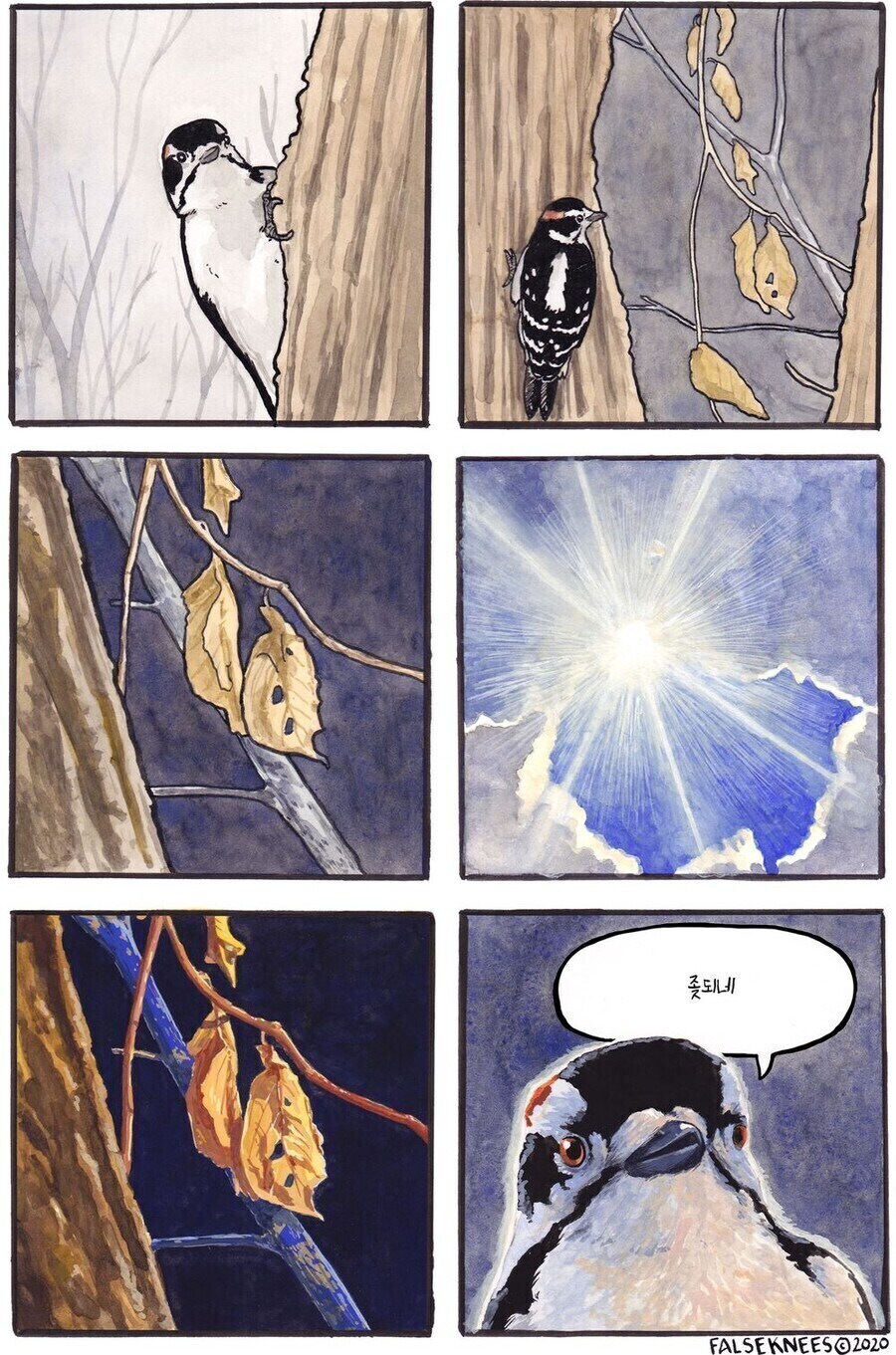ㅈ되는 새_1.jpg