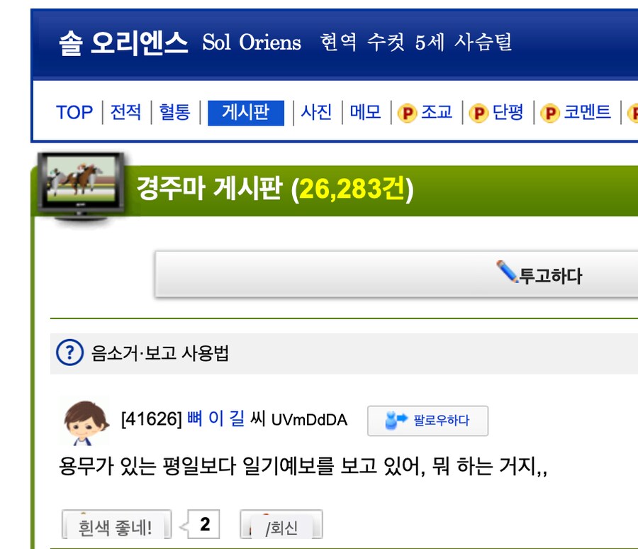 경마) / 말딸) 나 같은 인간들이 한 트럭이라 웃겨_1.png