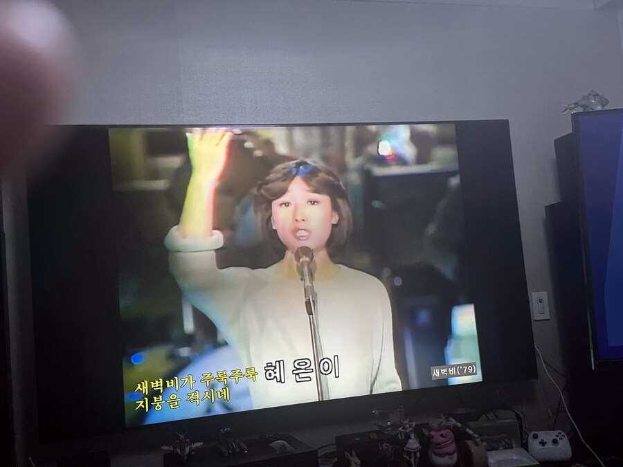 혜은이누나 리즈 시절 ㅋ_1.jpg