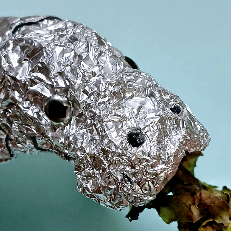 만들기) 상추를 먹는 바다소(매너티)_7.jpg