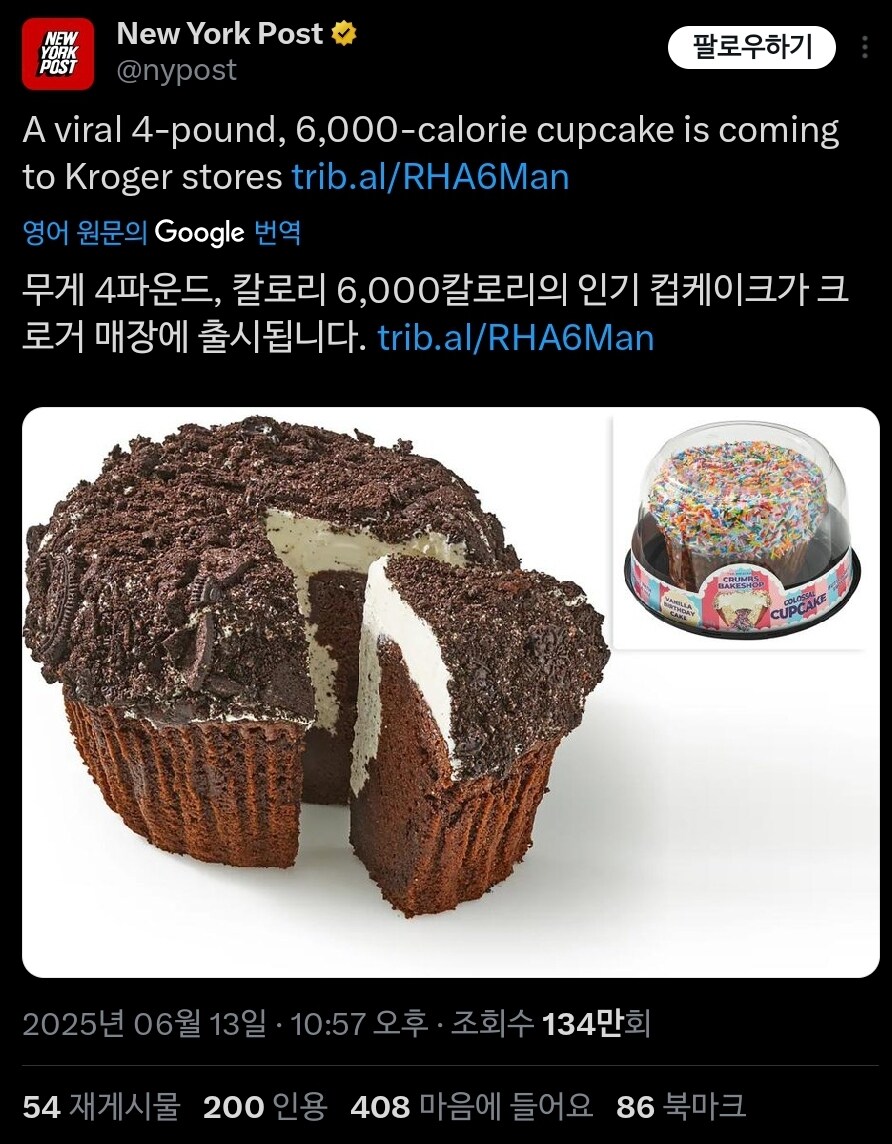 1.8kg 6000칼로리 '컵'케이크_2.jpg