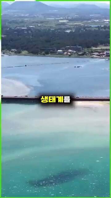 외래종이 한국에서 살아 남는 방법_4.png