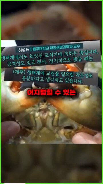 외래종이 한국에서 살아 남는 방법_5.png