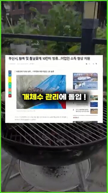 외래종이 한국에서 살아 남는 방법_8.png