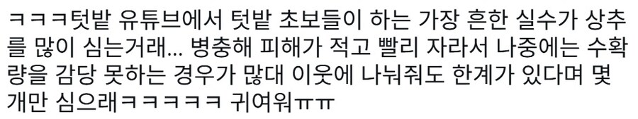 텃밭 가꾸기 초보들이 가장 흔하게 하는 실수_1.jpg