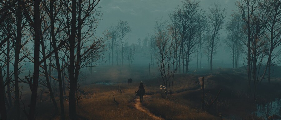 더 위쳐 3 와일드 헌트 스크린 샷_24.jpg