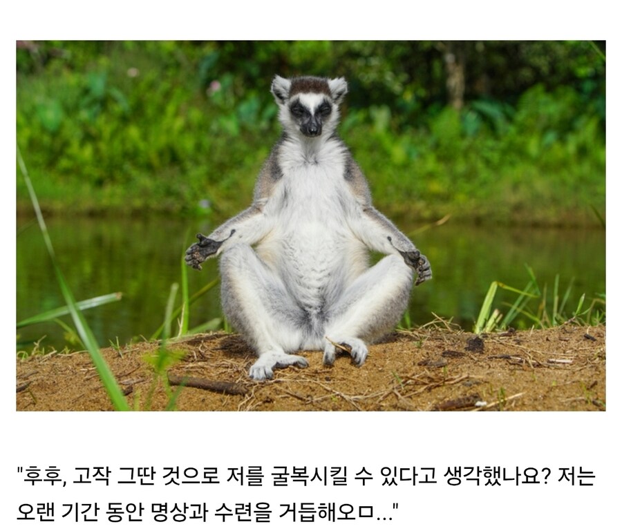 고작 그런걸로 날 굴복시킬 수 있다고 생각했나_1.jpg