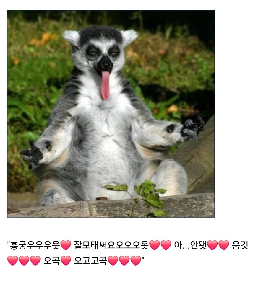 고작 그런걸로 날 굴복시킬 수 있다고 생각했나_2.jpg