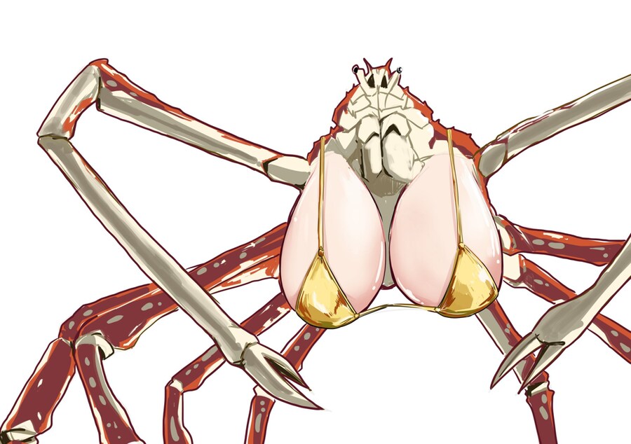 이게 골드비키니_1.png