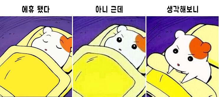 ㅇㅇㄱ)이야... 개쩐다_1.jpg