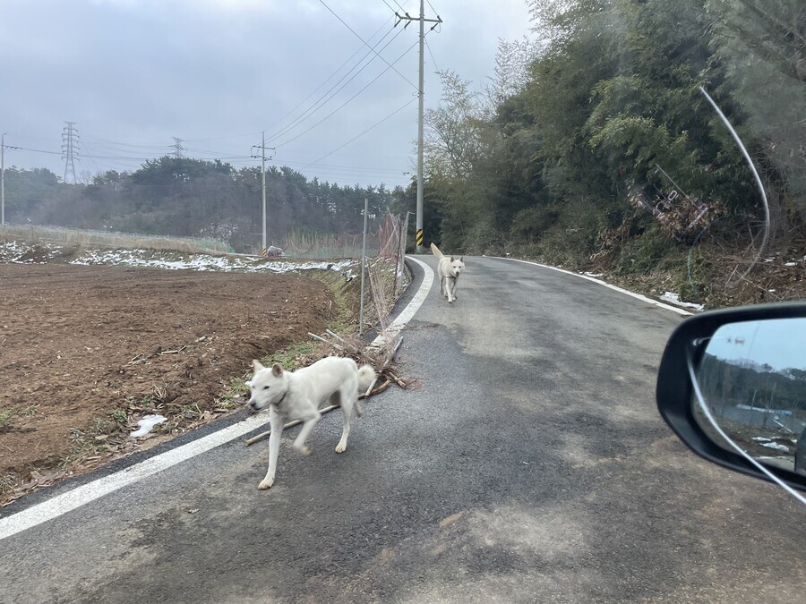 직장동료가 퇴사 빨리 말하라는데_1.jpg