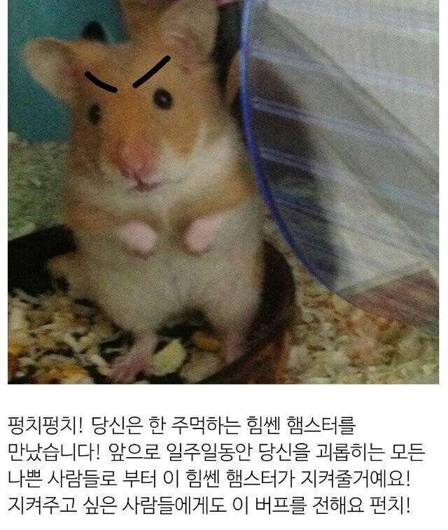 앗 햄돌이가 여러분을 응원해요!_1.jpg