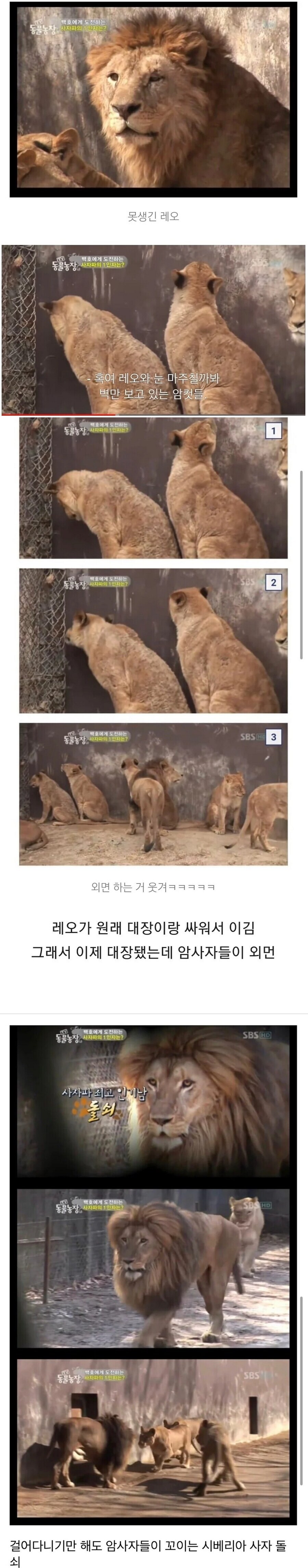 외국인 처녀와 결혼하세요!!_1.jpg