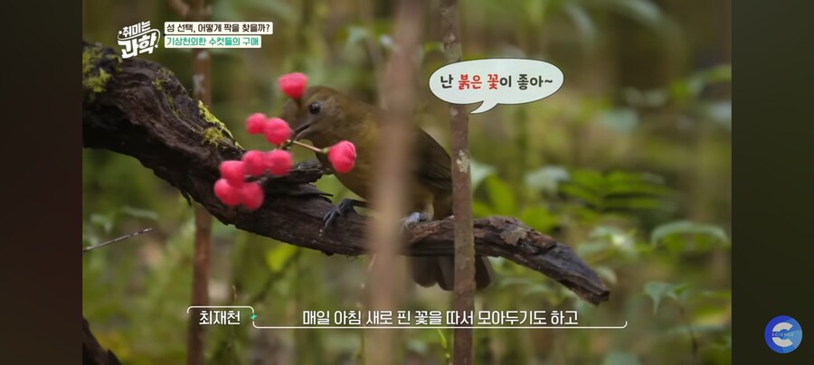 동물행동학자가 말하는 결혼_9.jpg