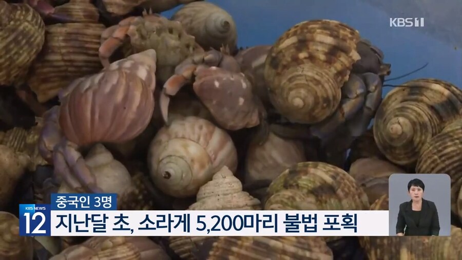 중국인 짐에서 나온 보호종 5000마리_1.jpg