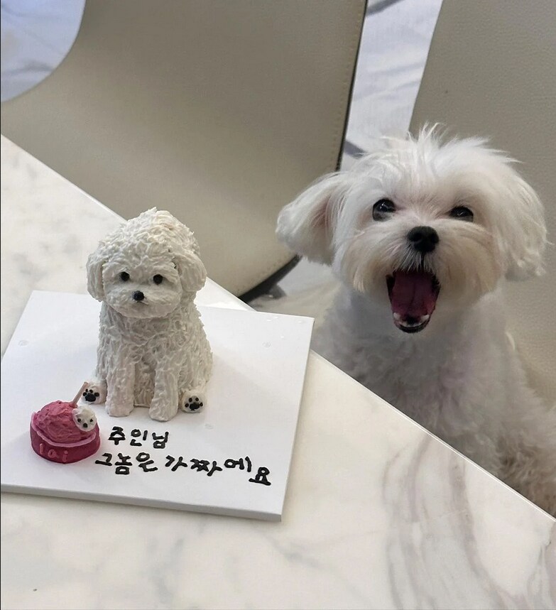 "주인님 그놈은 가짜에요" 짤 근황_1.png