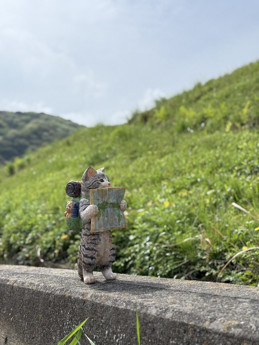 고양이 지도 여행 목상🗺️_2.jpg