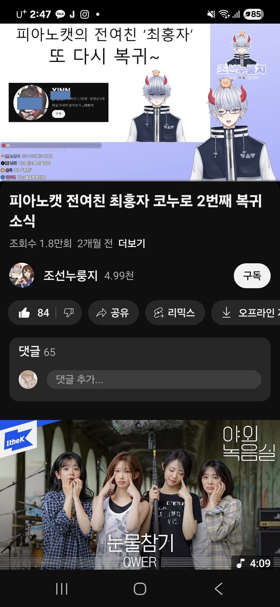 피아노캣님 사건의 중심 최홍자가 코누로 변함_1.jpg